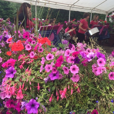 Pans and petunias
